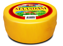 masdam